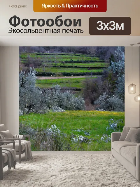 Фотообои Трава