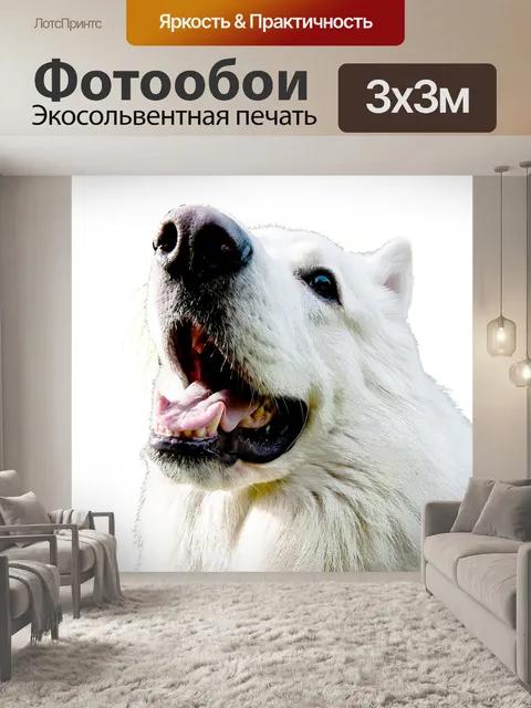 Фотообои Собака