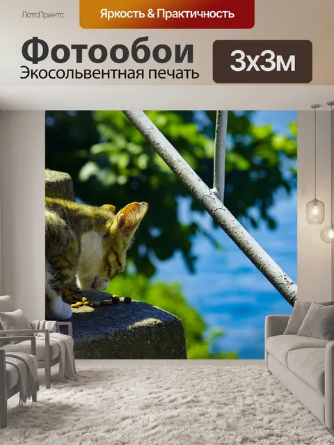 Фотообои Кот