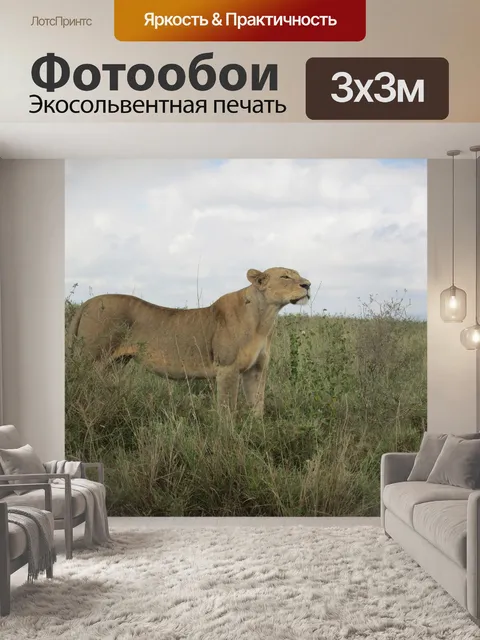 Фотообои Львица в африке