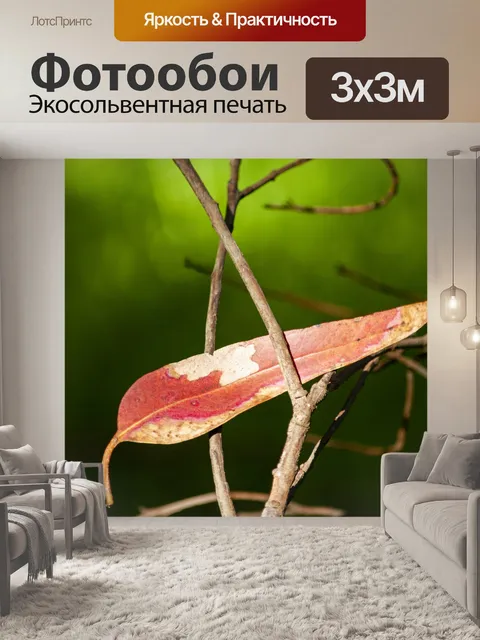 Фотообои Осенний лист