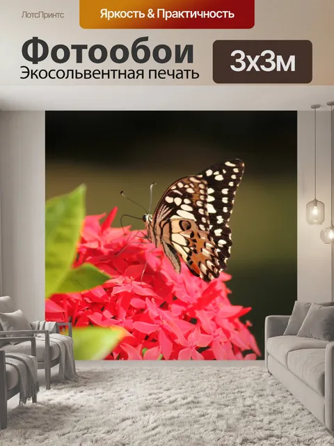 Фотообои черная белая бабочка на красный цветок