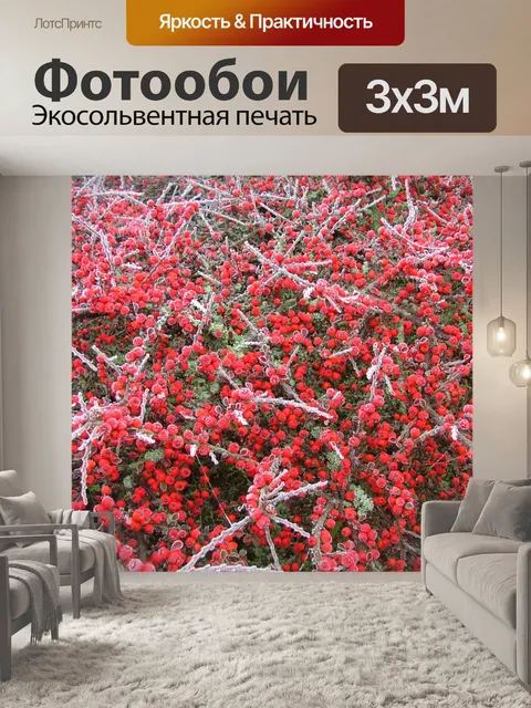 Фотообои Морозный красные ягоды