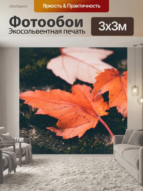 Фотообои Осень
