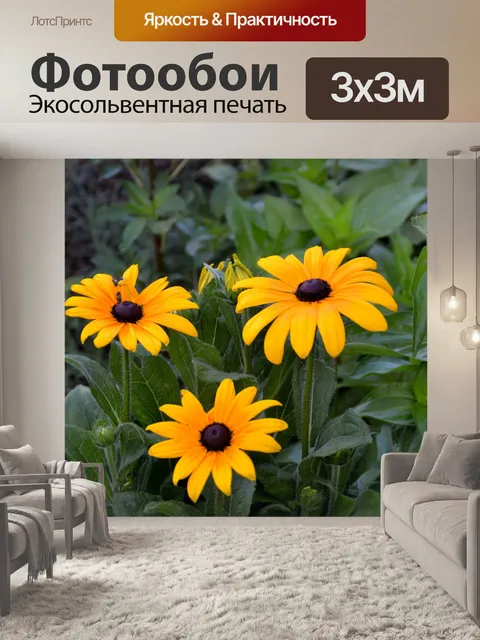 Фотообои Глаз Сьюзен
