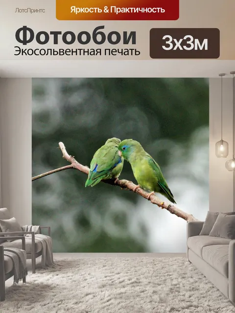 Фотообои Попугаев