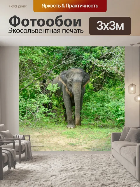 Фотообои Природа