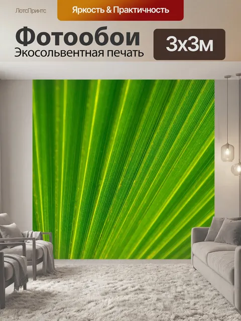 Фотообои Зеленый лист пальмы