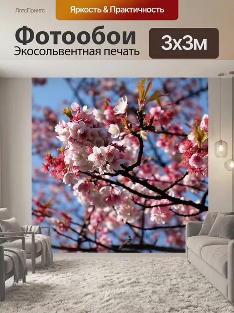 Фотообои Сакура