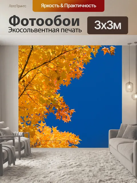 Фотообои Fall листва и голубое небо