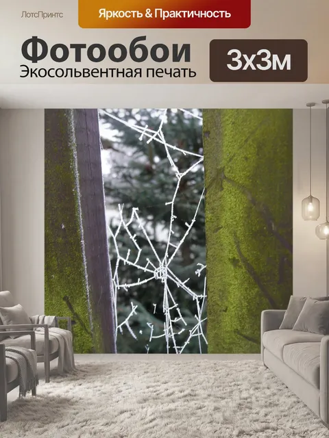 Фотообои матовое паутину