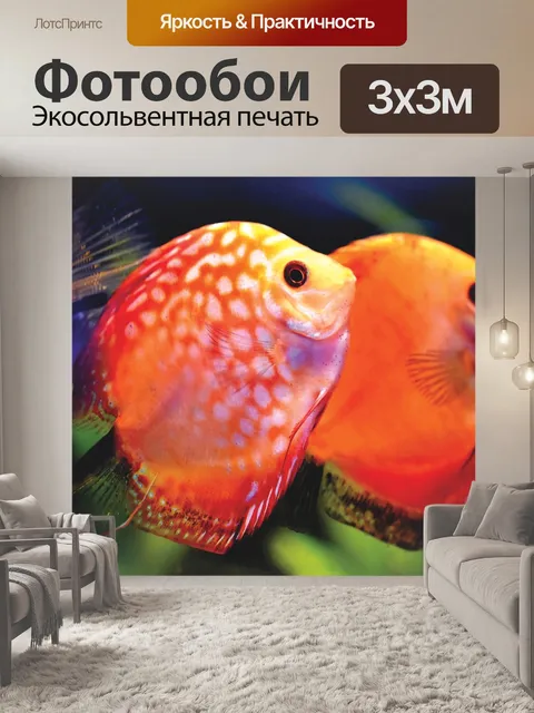 Фотообои Рыбы