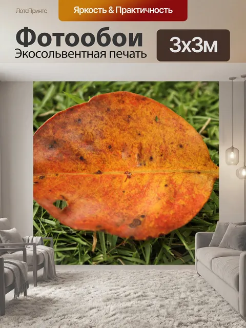 Фотообои Большой оранжевый лист