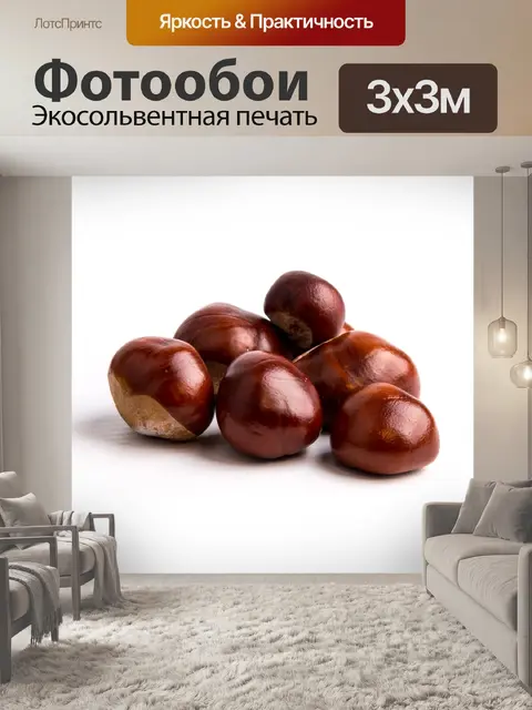 Фотообои каштаны