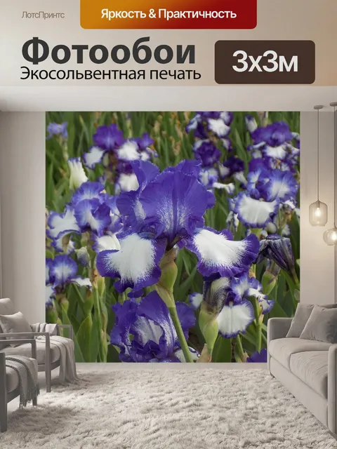 Фотообои Ирисы