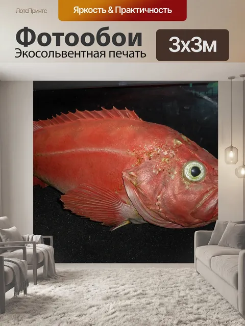 Фотообои Парк атлантического океана
