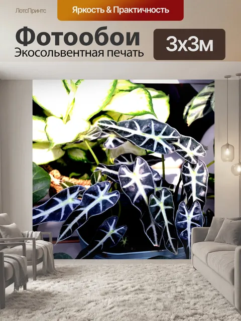 Фотообои Комнатные растения