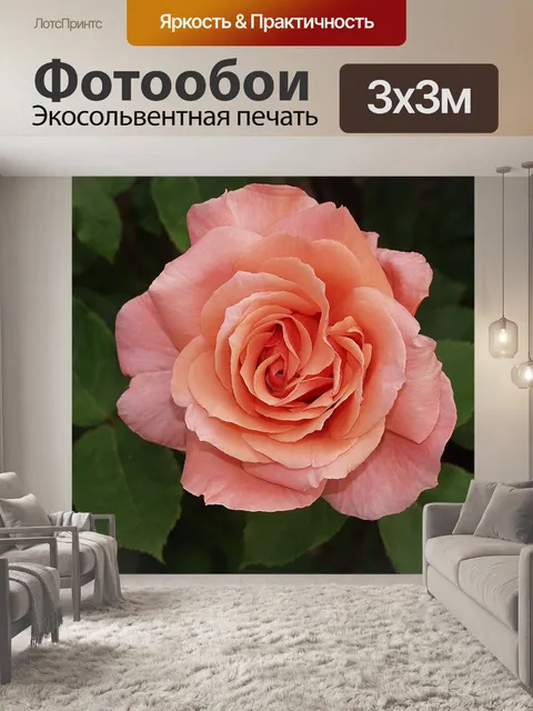 Фотообои Завод