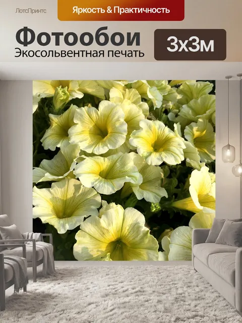 Фотообои Расцветает
