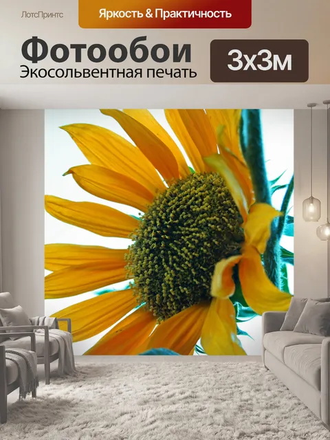 Фотообои желтые лепестки подсолнуха