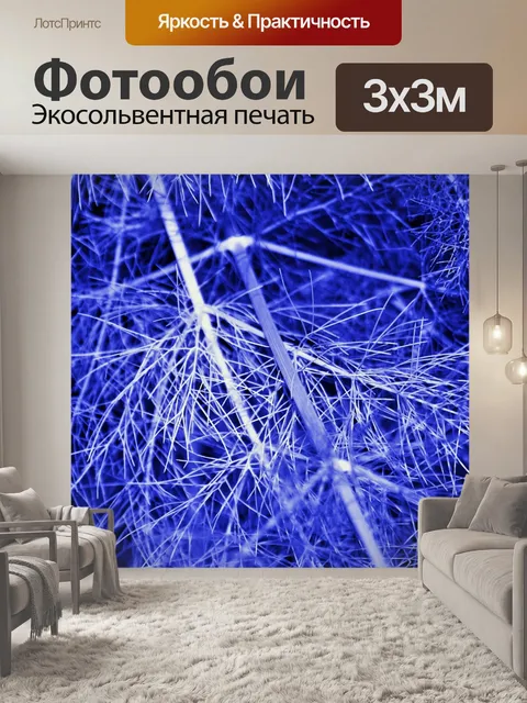 Фотообои фенхеля стебли и листья тонированные син