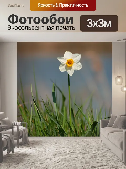 Фотообои Нарцисс