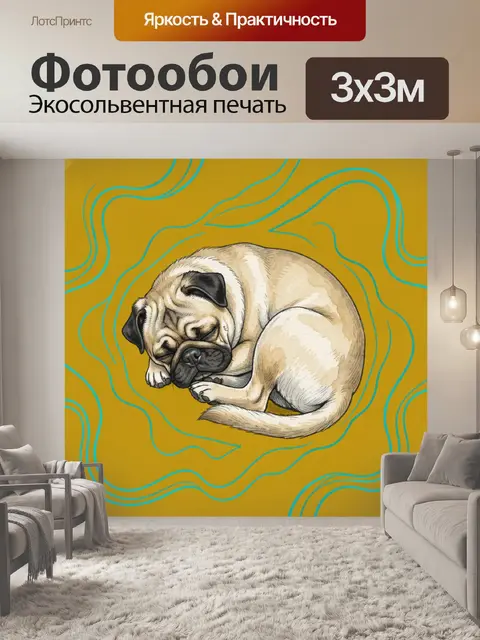 Фотообои Спящий мопс среди бирюзовых линий