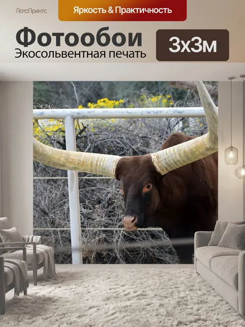 Фотообои крупный рогатый скот с огромными рогами