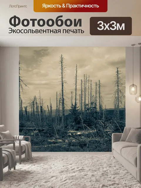 Фотообои Пейзаж