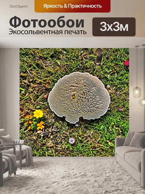 Фотообои грибы плесневые, покрывающие поверхность старой лужайки, с яркими цветами и листьями вокруг
