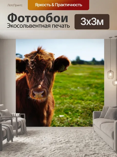 Фотообои Бык