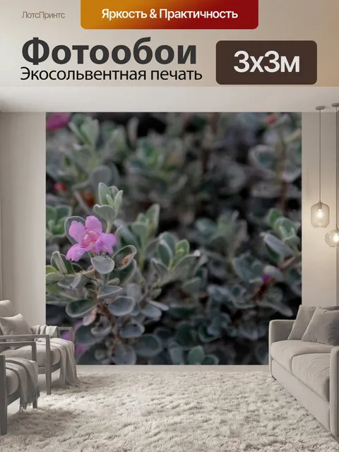 Фотообои Розово-серое пестрое растение