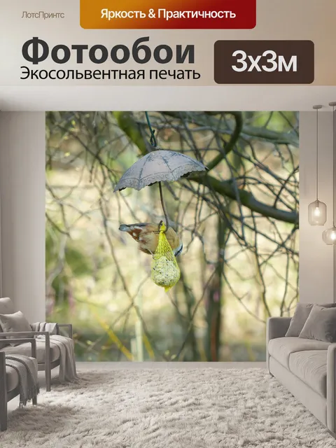Фотообои Поползень