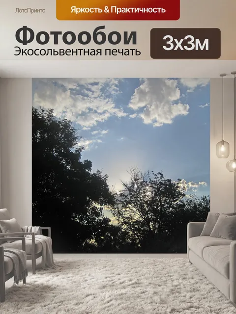 Фотообои силуэты деревьев поздно днем