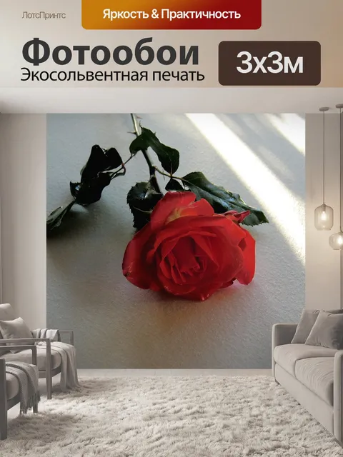 Фотообои Роза