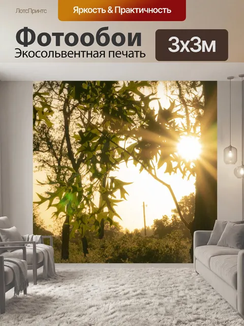 Фотообои Природа