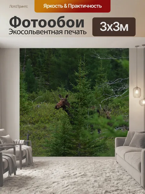 Фотообои Животное