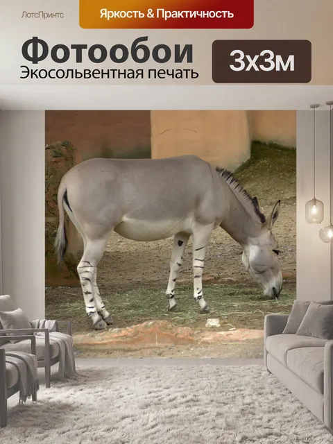 Фотообои Африканский жопа