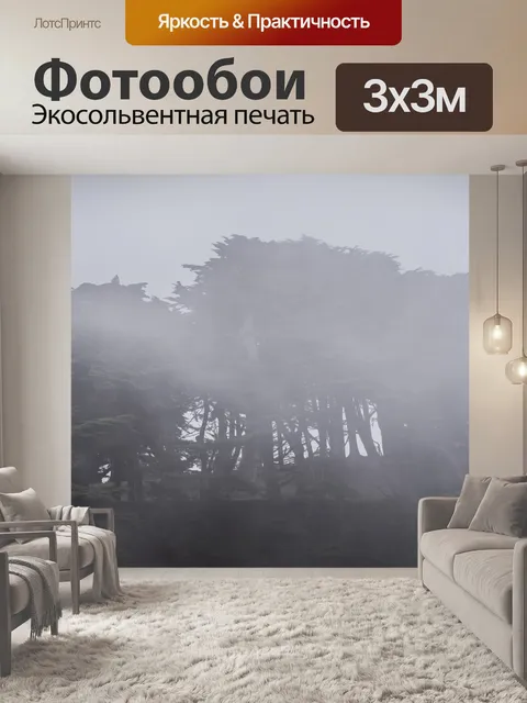 Фотообои Монтерей Пайнс в Туманном банке