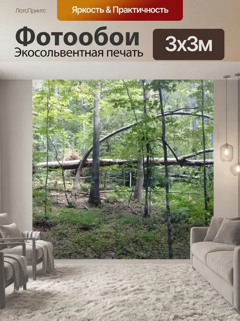 Фотообои Падшее дерево