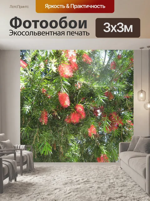 Фотообои Ботлбраш кустарников