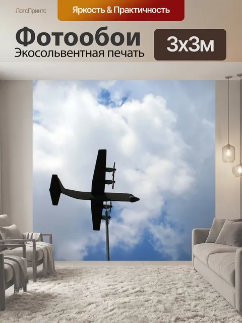 Фотообои модель самолета установлены