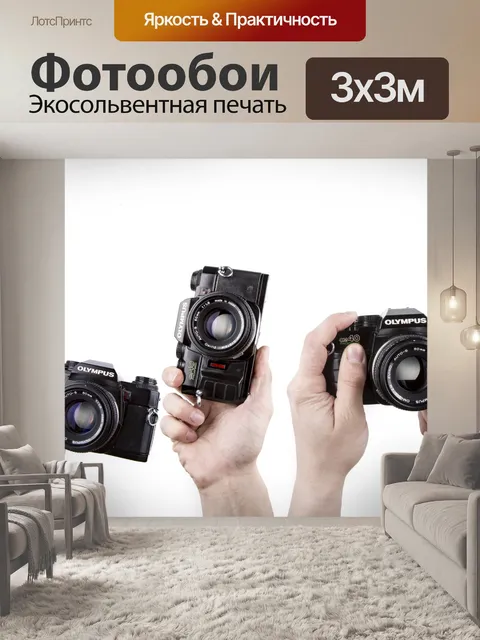 Фотообои Камера в руке
