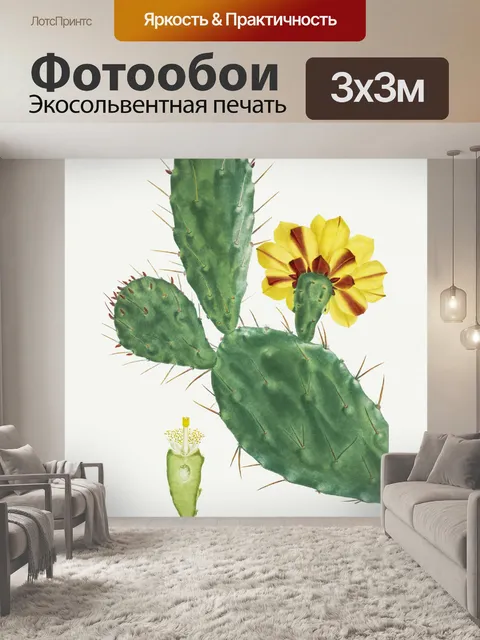 Фотообои Кактус винтаж искусство старый