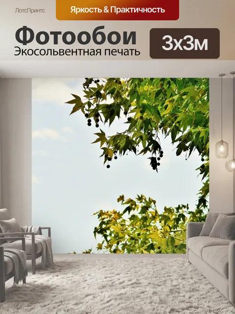 Фотообои кленовые листья и круглые семена