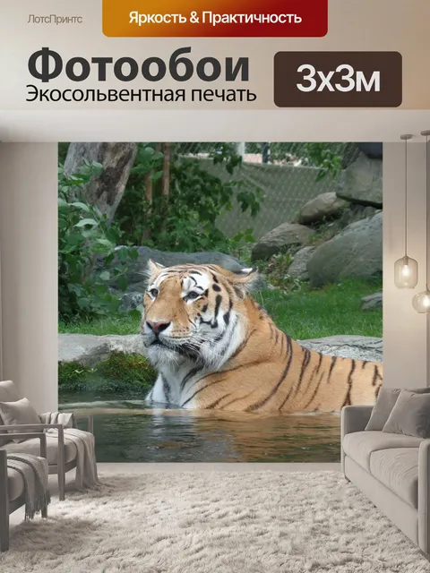 Фотообои Тигрица