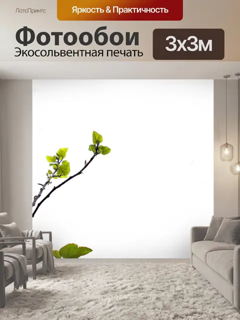 Фотообои Фиговая ветвь