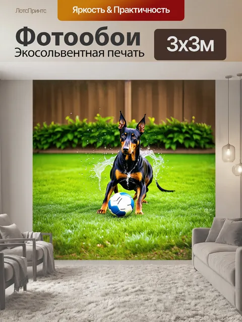 Фотообои мощный доберман, играющий с мячом на сыро-зеленом газоне