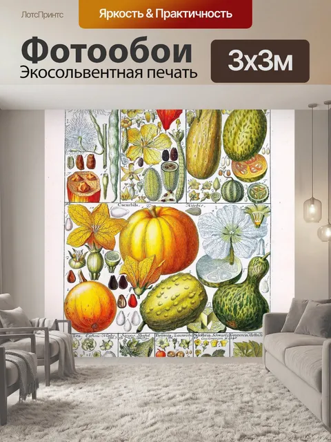 Фотообои Винтаж ботаника тыква огурец