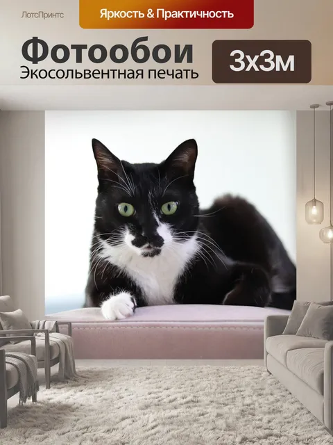 Фотообои Кошачьи глаза